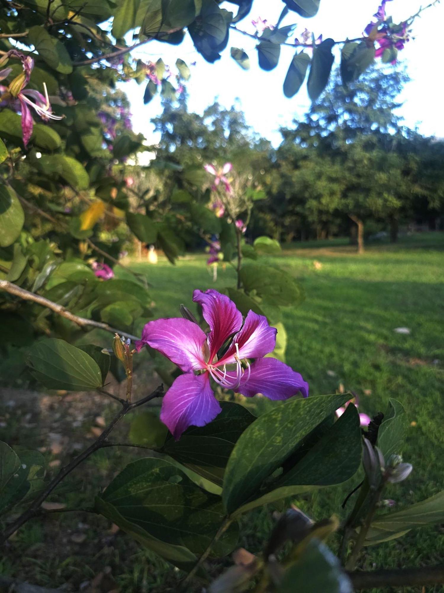 Pai Kiniman Resort Екстериор снимка